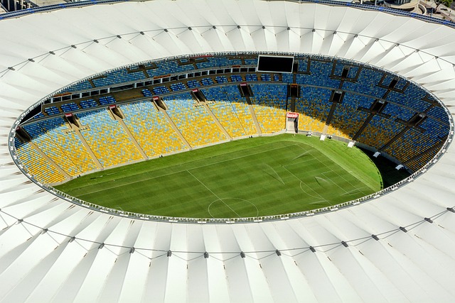 新回到如同
