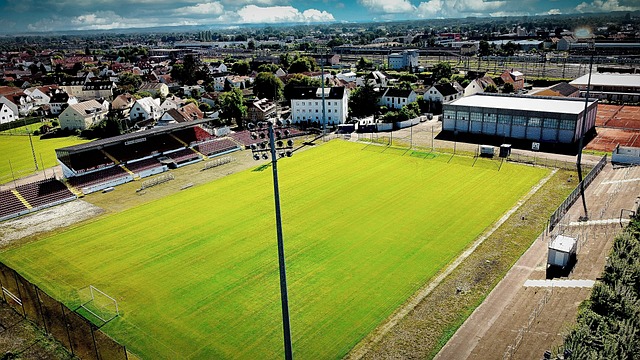 技術為王的 技術為王的