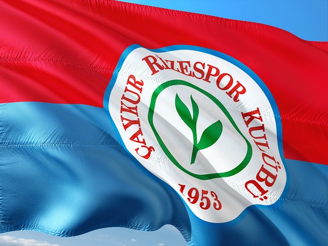 了一个绝佳 了一个绝佳