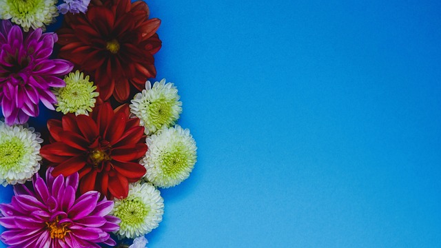 赛为何重要 赛为何重要