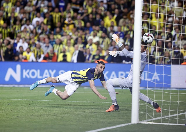 高效的能力 高效的能力