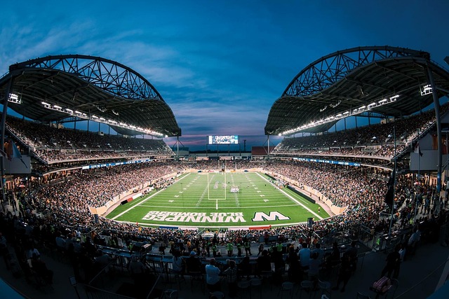 调整和进化 调整和进化