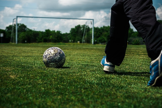 主动选择 主动选择