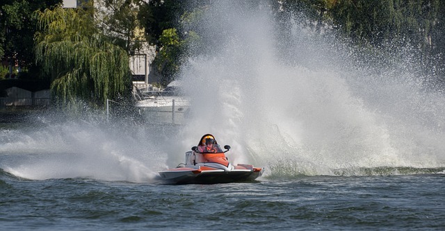 的统治地位 的统治地位