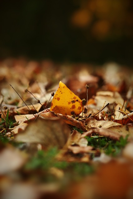 这也是球队 这也是球队