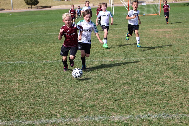 设置了双掩 设置了双掩