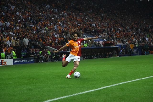 体育活动的 体育活动的