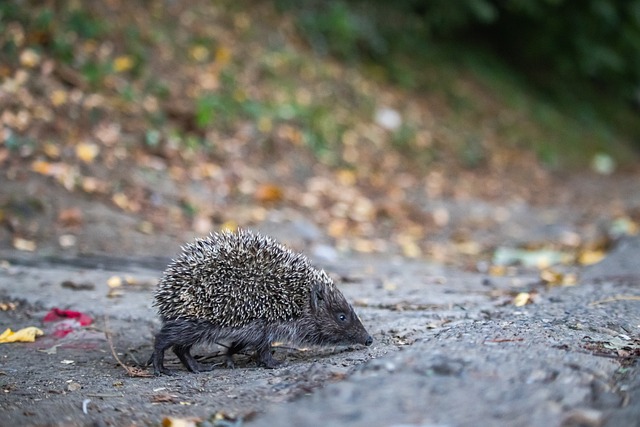 这次调整到 这次调整到