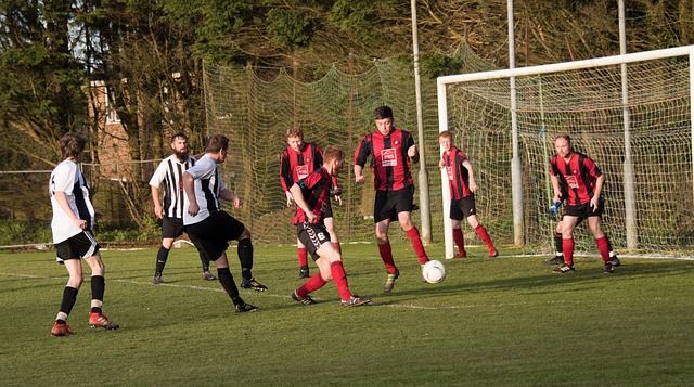 展现了球队 展现了球队