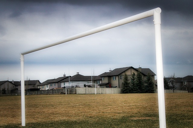 他在關鍵時 他在關鍵時