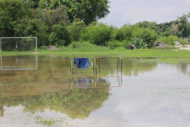人隊中扮演 人隊中扮演