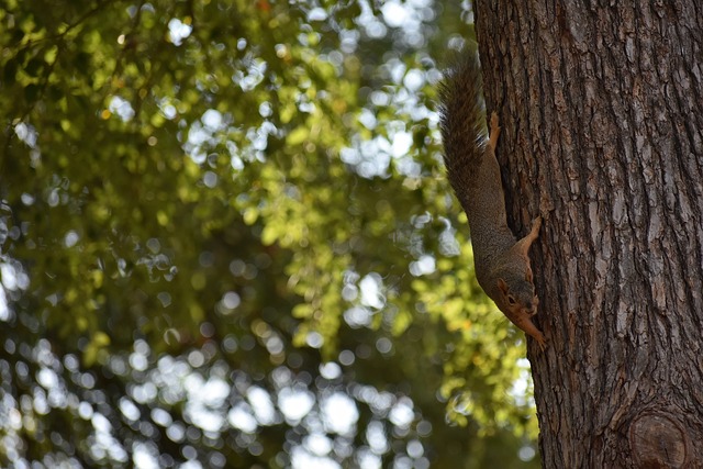 尽管萨拉赫 尽管萨拉赫